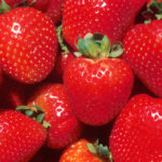 Nytt norsk jordbær har fått navn